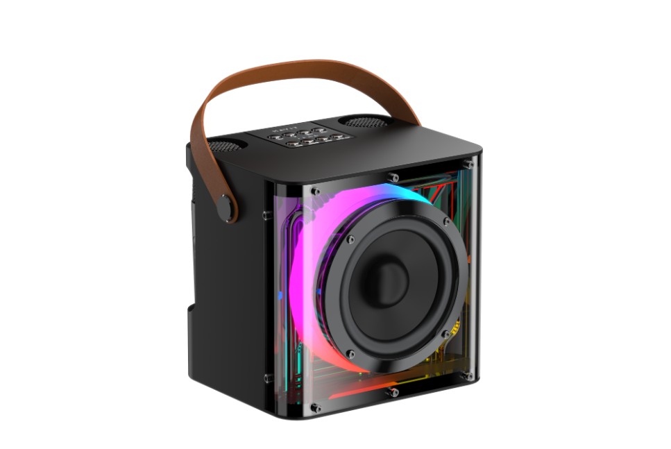 Altavoz Karaoke HAVIT SK822BT