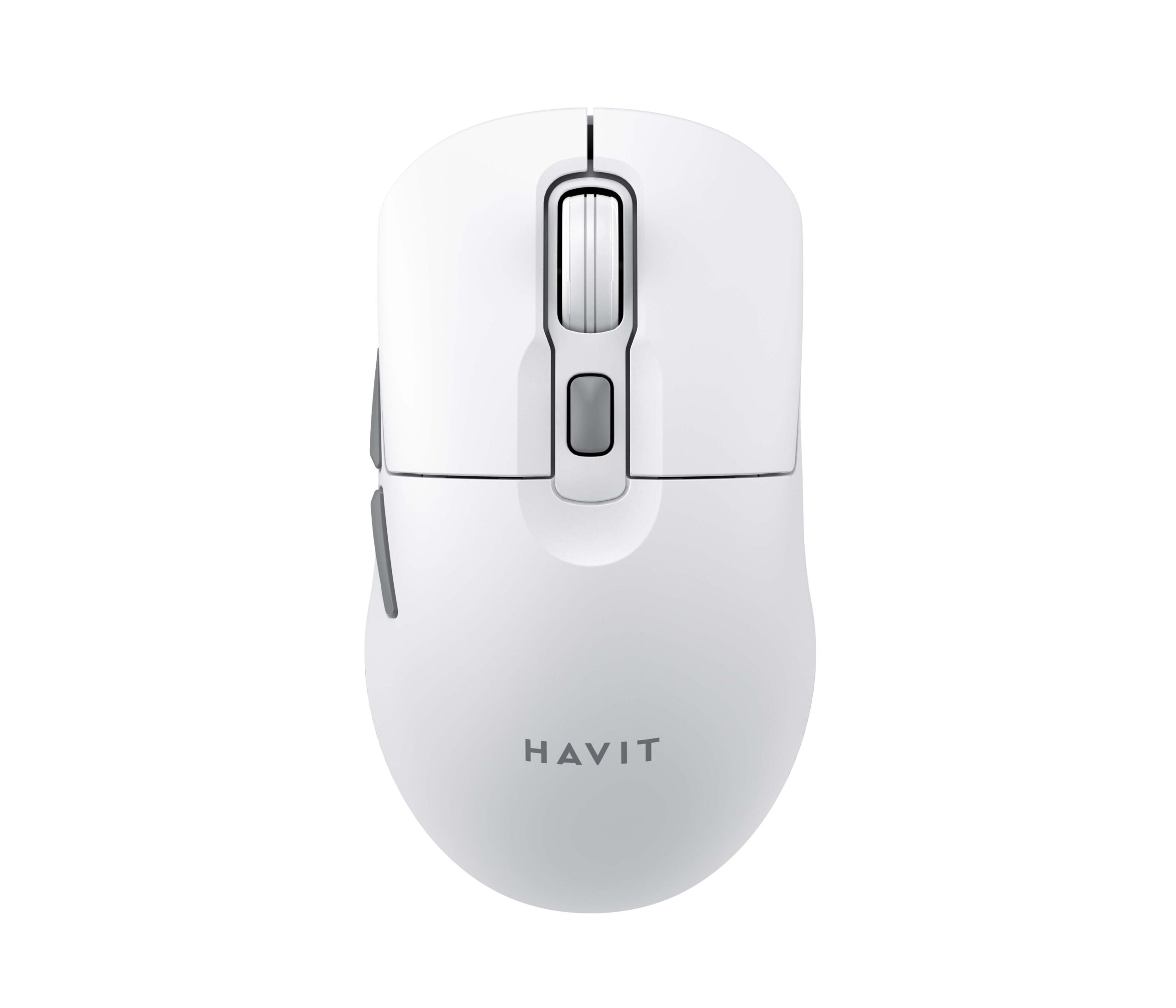 Mouse MS59WB